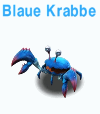 Blaue Krabbe      